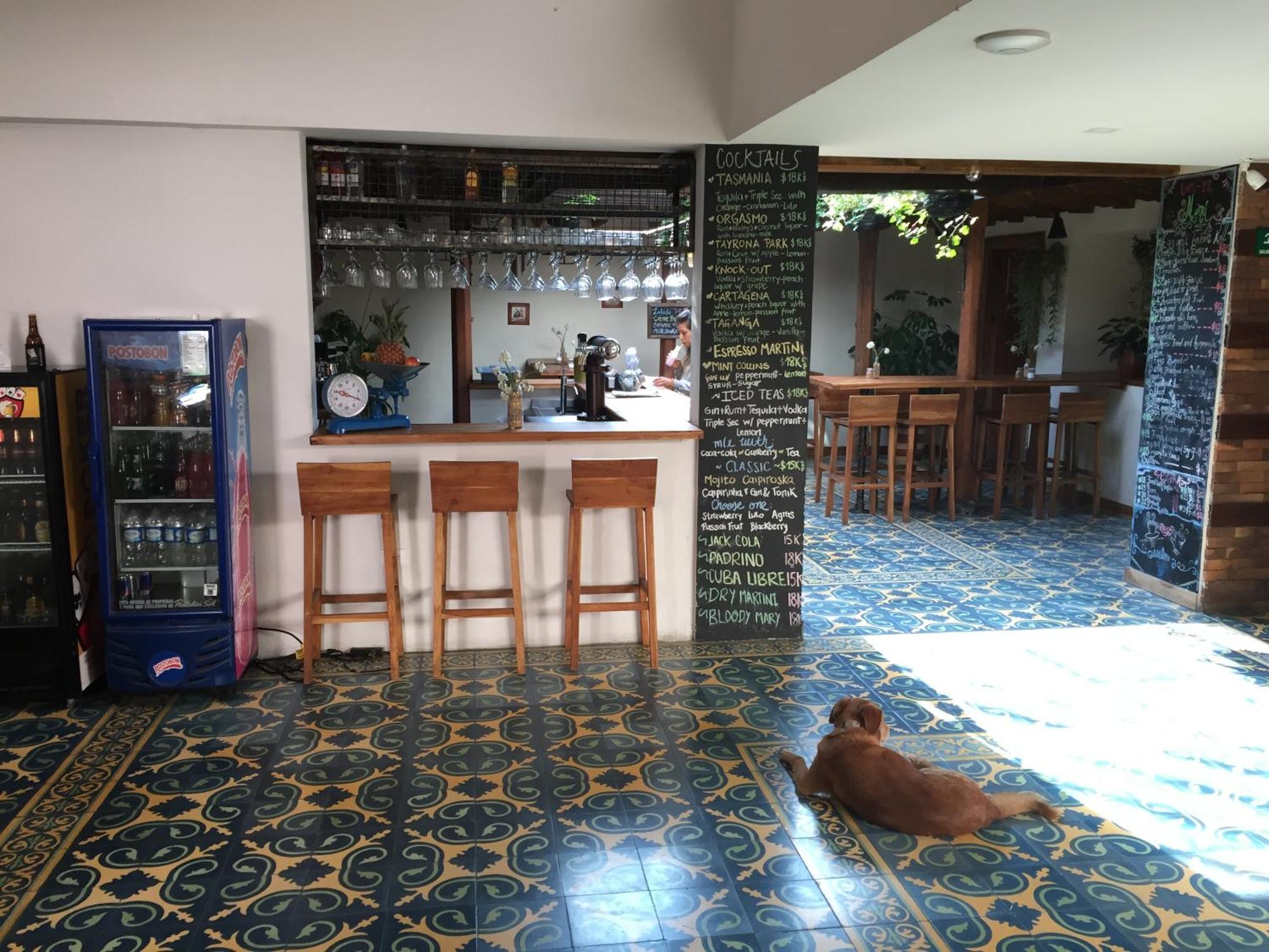 The Cranky Croc Hostel Bogotá Eksteriør billede